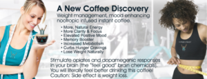 elevate brew