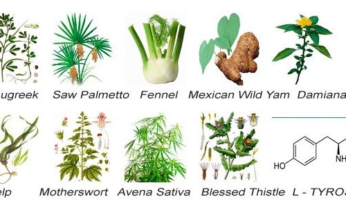 total curve ingredients