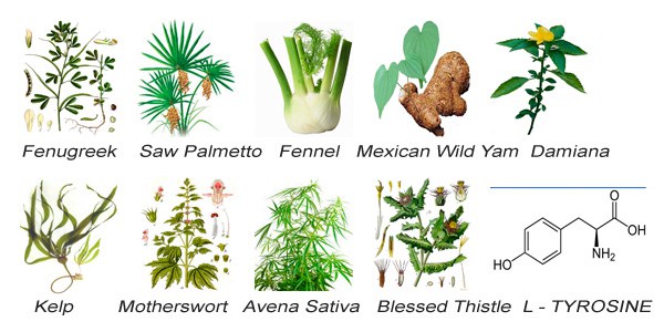 total curve ingredients